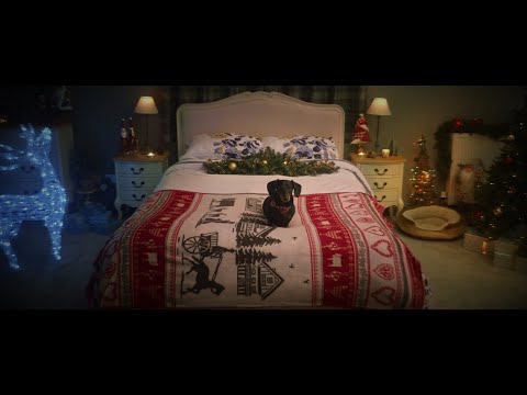 In The Dog House | Furniture.co.uk | Christmas Ad 2022