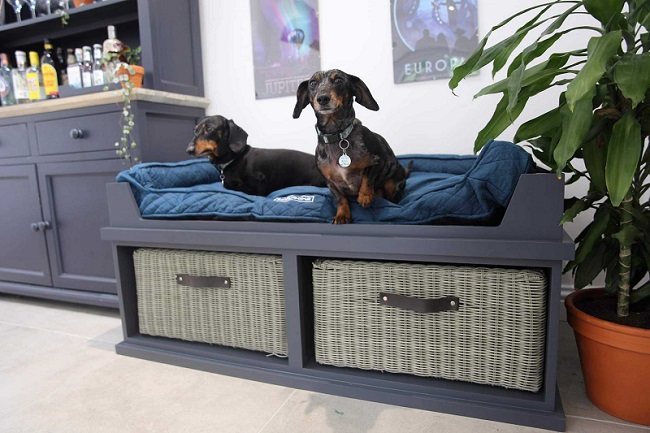 pet bed with pedestal